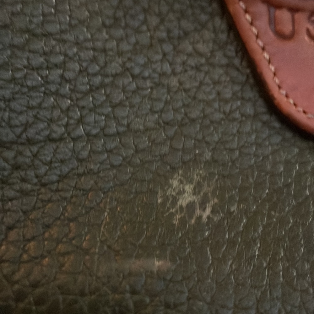 Dooney & Bourke Vintage Spectator Bag in Fir Green and Tan Leather - Picture 5 of 17